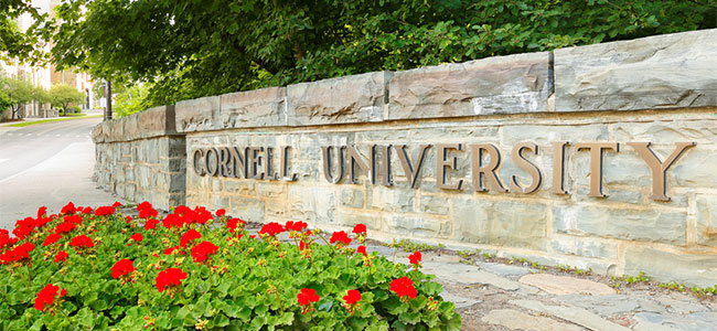 DOL Awards Cornell University $2 Million for Disability Workforce Inclusion Initiative