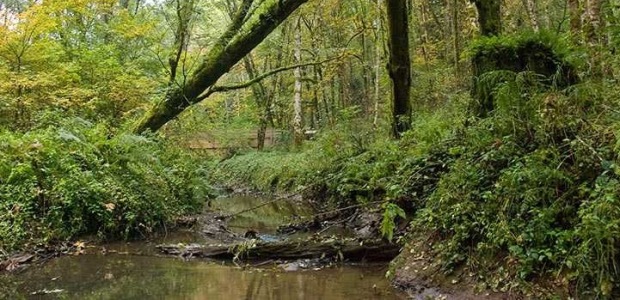 The Tryon Creek Natural Area is one of the participating employers this year.